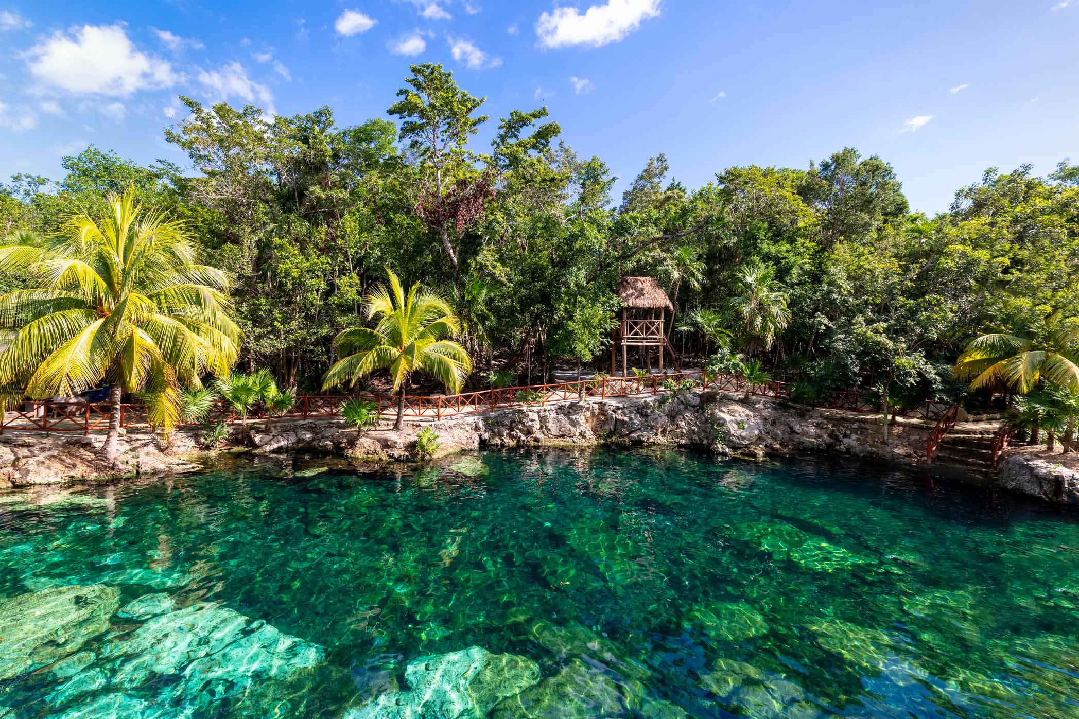 Paisaje de la reserva ecológica El Corchito en Progreso, Yucatán.